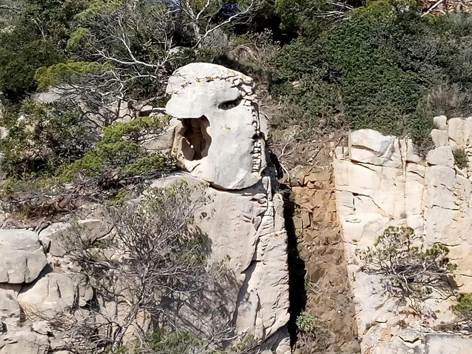 La roca Frankenstein